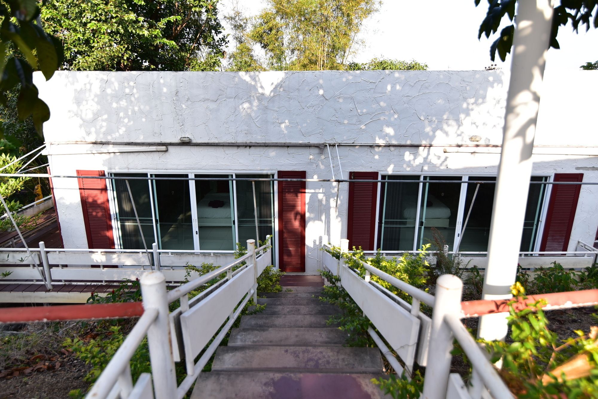 Bambusa Nakhonratchasima Esterno foto